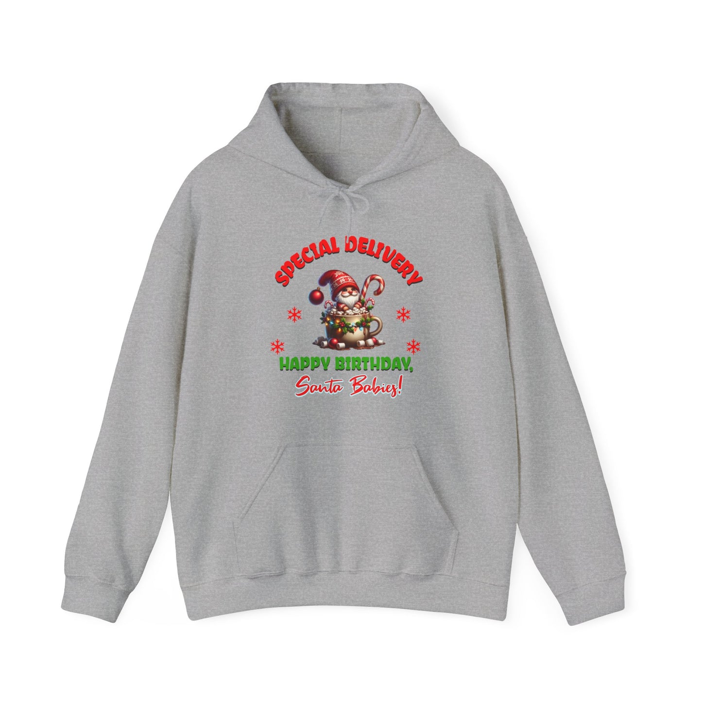 Special Delivery Santa Babies Hoodie Sweatshirt