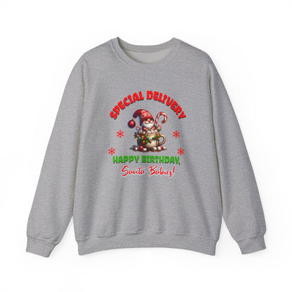 Special Delivery Holiday Babies Santa Sweatshirt