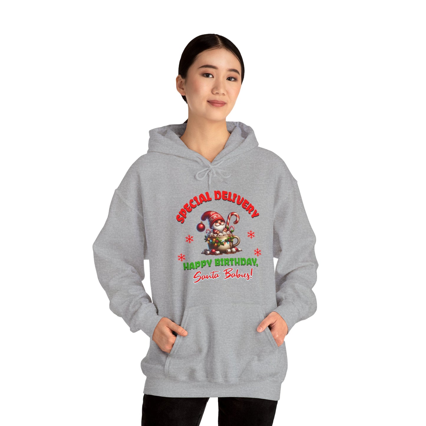 Special Delivery Santa Babies Hoodie Sweatshirt