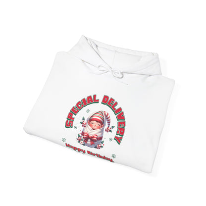 Special Delivery Holiday Baby Elf Hoodie Sweatshirt