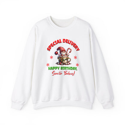 Special Delivery Holiday Babies Santa Sweatshirt