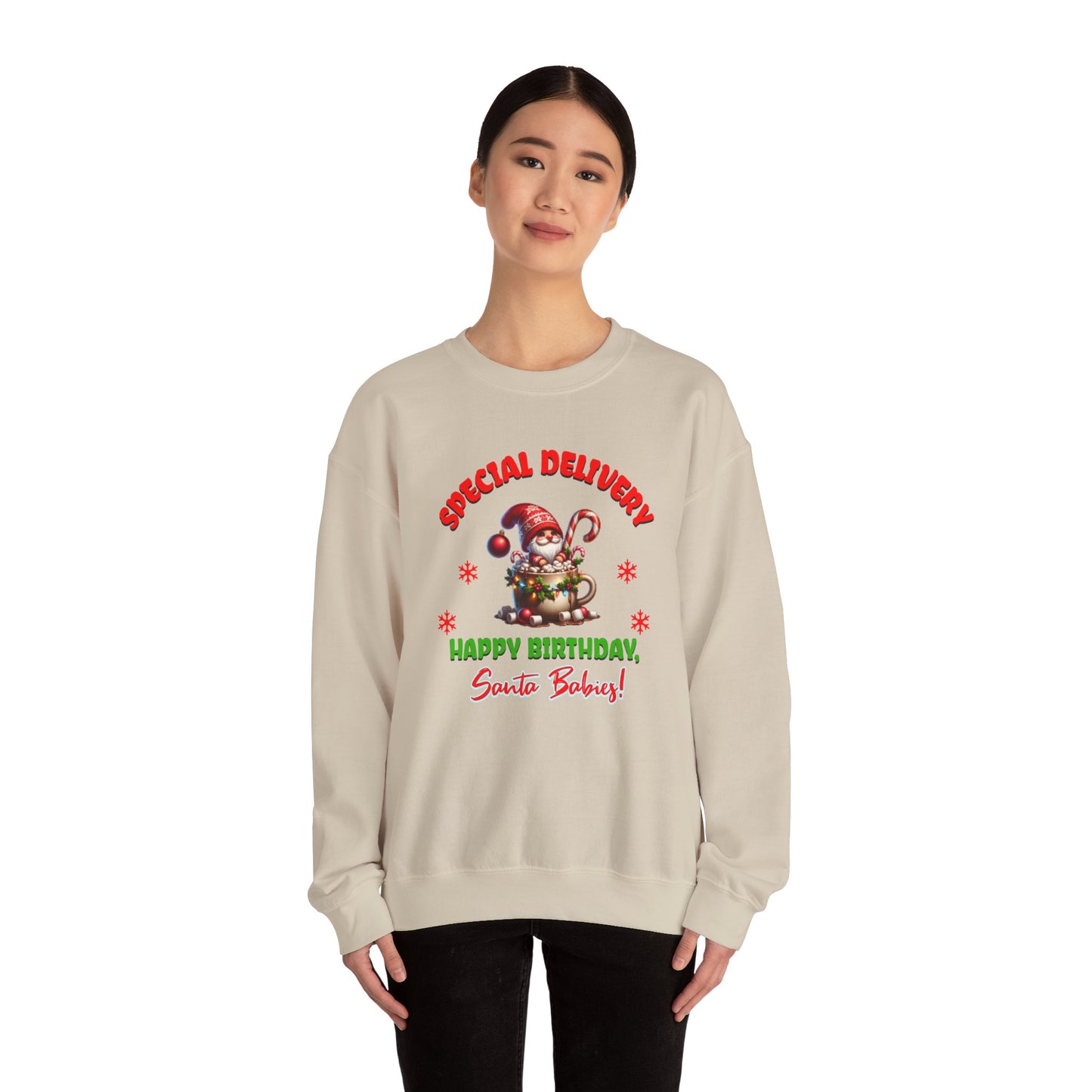 Special Delivery Holiday Babies Santa Sweatshirt