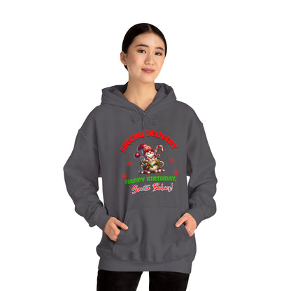 Special Delivery Santa Babies Hoodie Sweatshirt