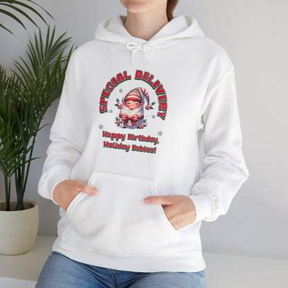 Special Delivery Holiday Baby Elf Hoodie Sweatshirt