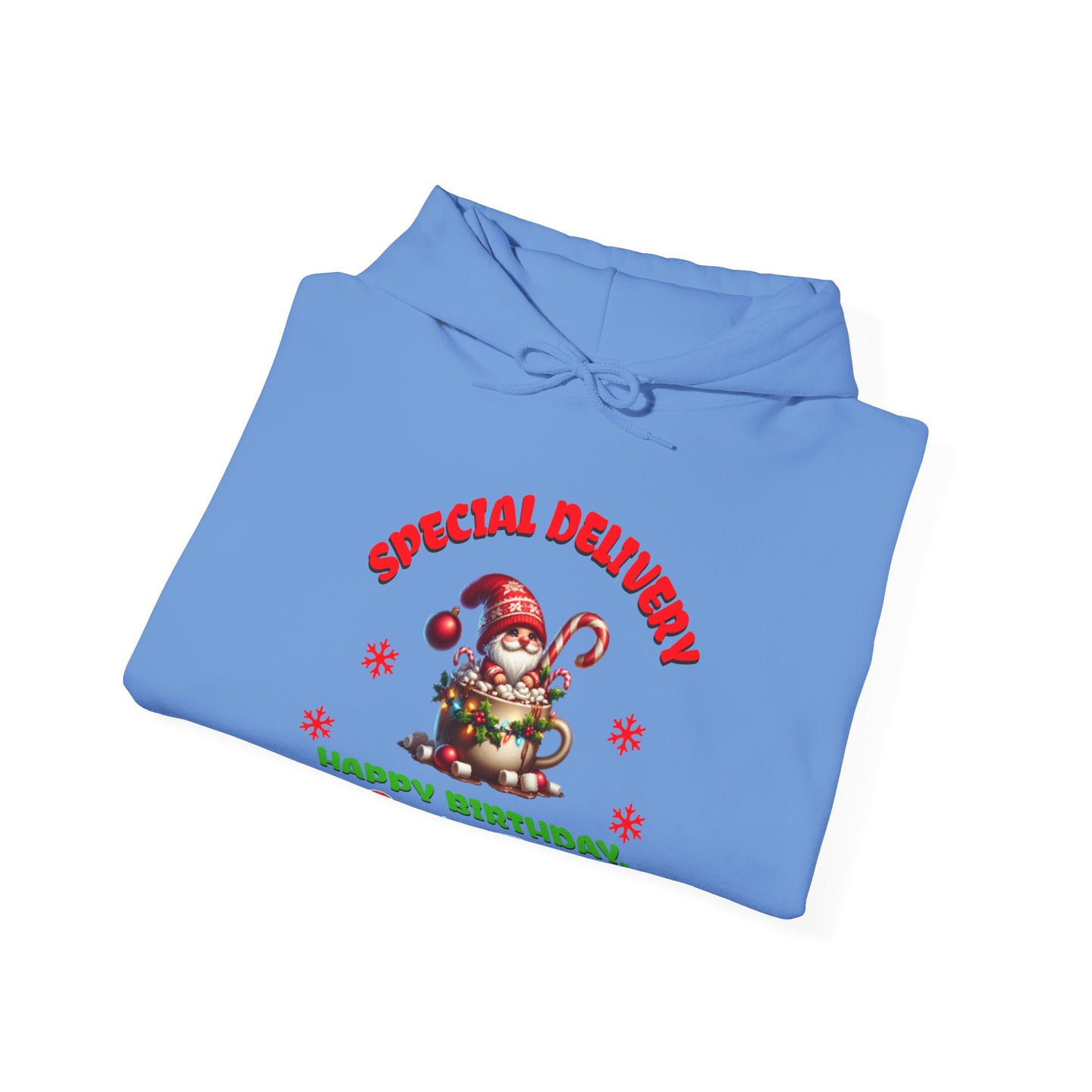 Special Delivery Santa Babies Hoodie Sweatshirt