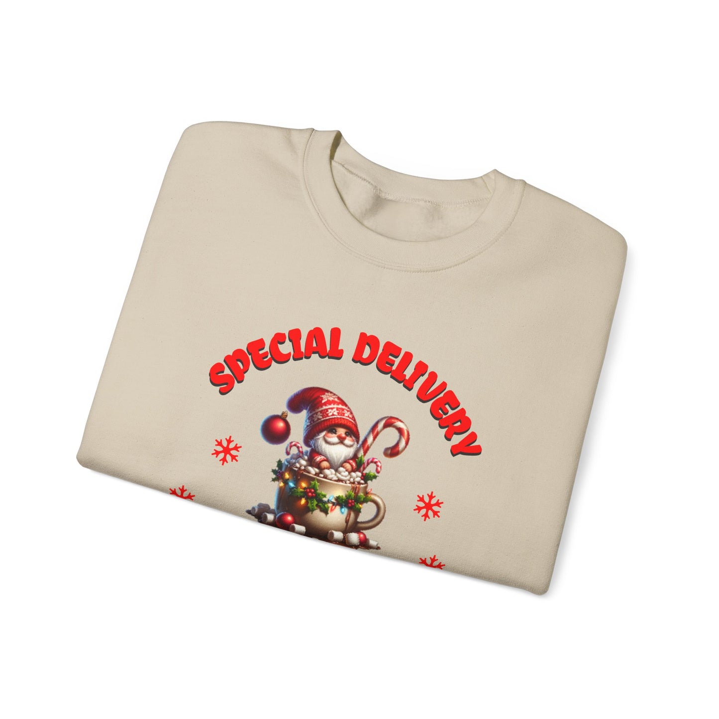 Special Delivery Holiday Babies Santa Sweatshirt