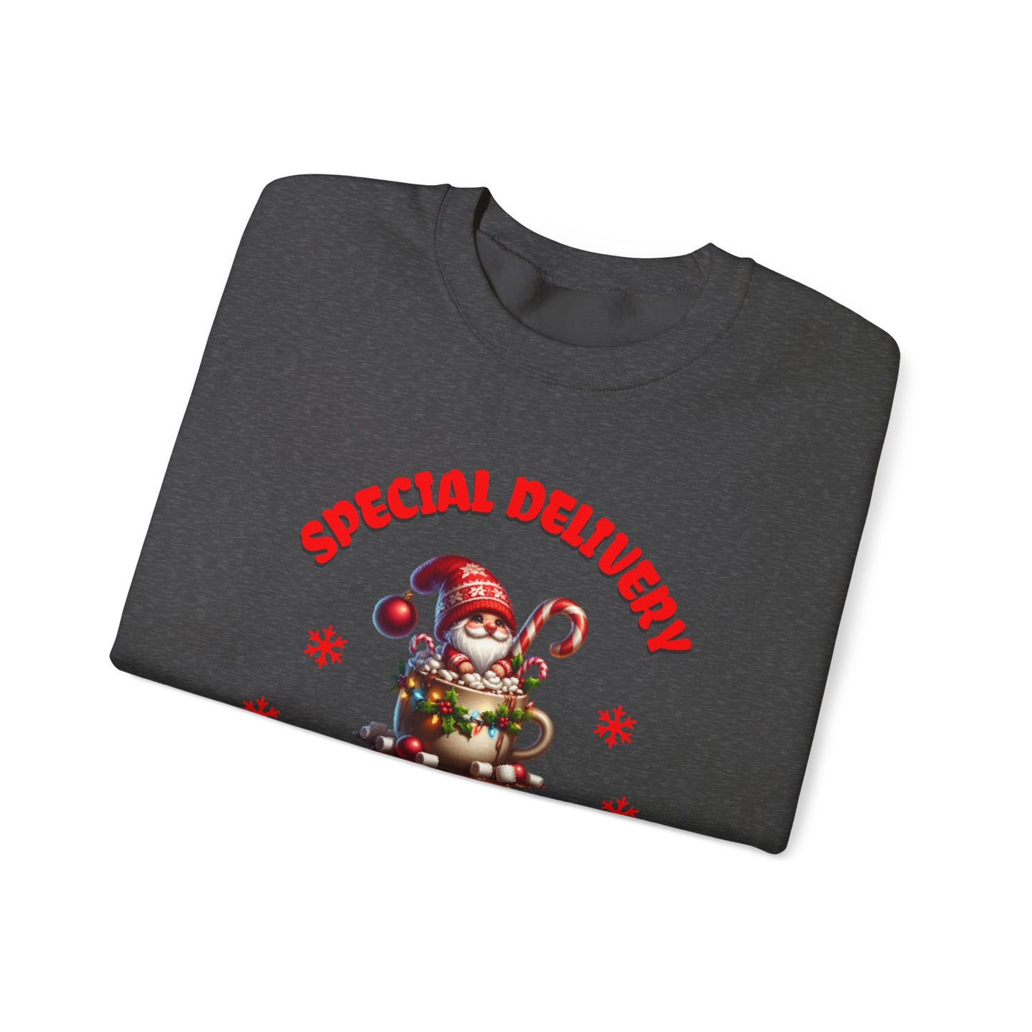 Special Delivery Holiday Babies Santa Sweatshirt