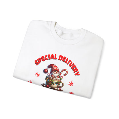 Special Delivery Holiday Babies Santa Sweatshirt