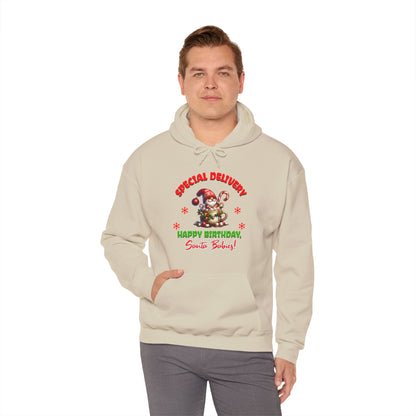 Special Delivery Santa Babies Hoodie Sweatshirt