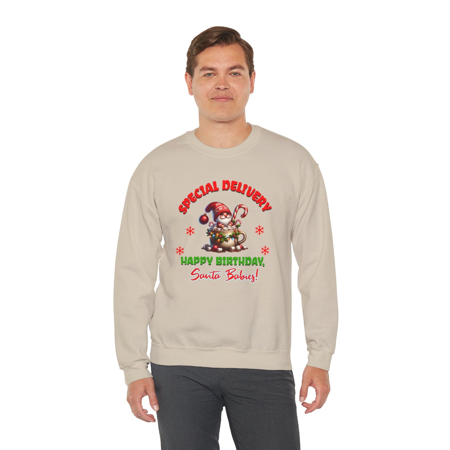 Special Delivery Holiday Babies Santa Sweatshirt