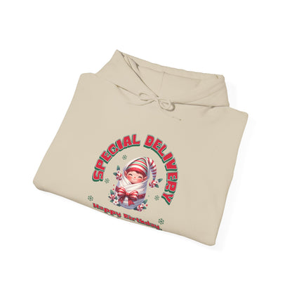 Special Delivery Holiday Baby Elf Hoodie Sweatshirt