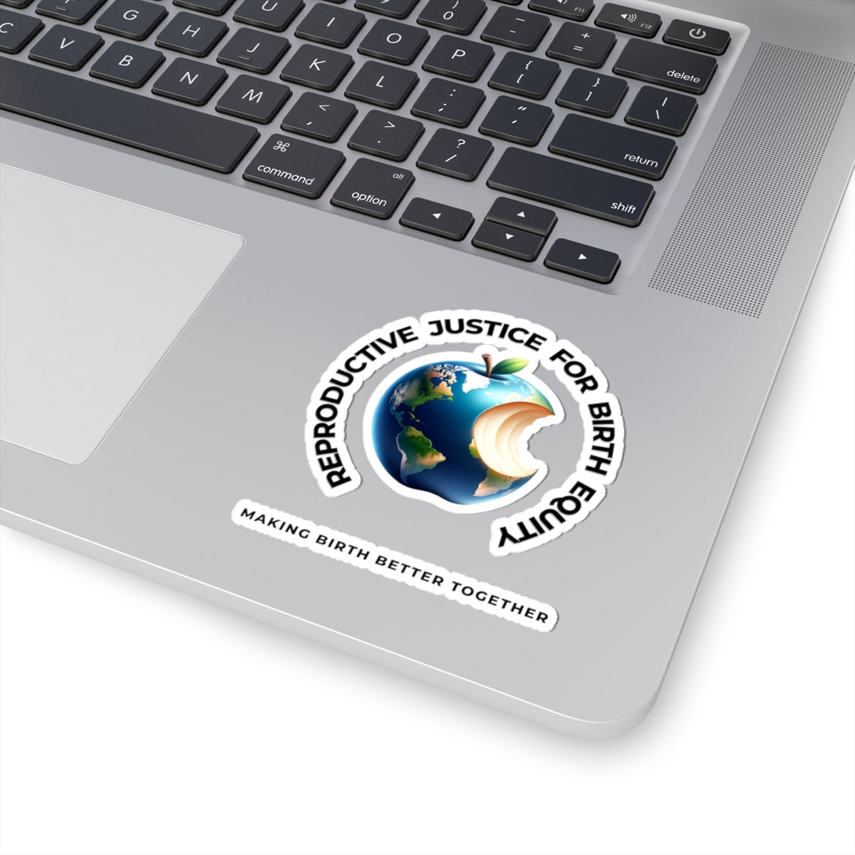 Reproductive Justice for Birth Equity World Sticker