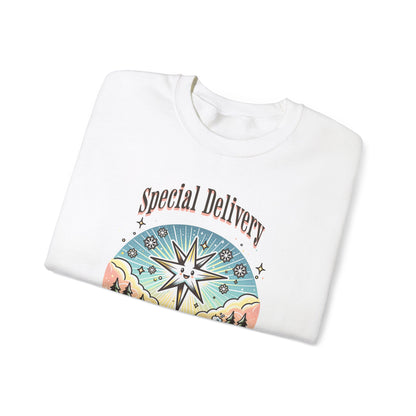 Special Delivery Merry Christmas Babies Sweatshirt