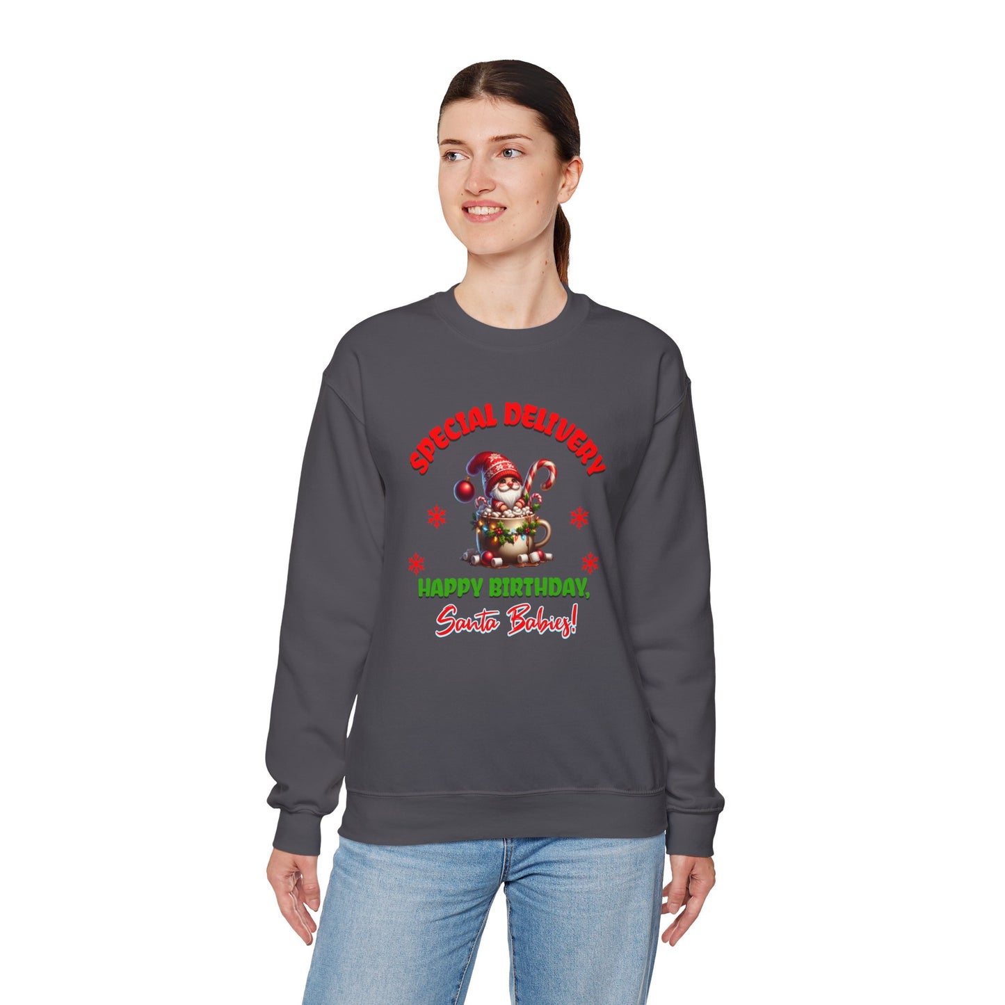 Special Delivery Holiday Babies Santa Sweatshirt