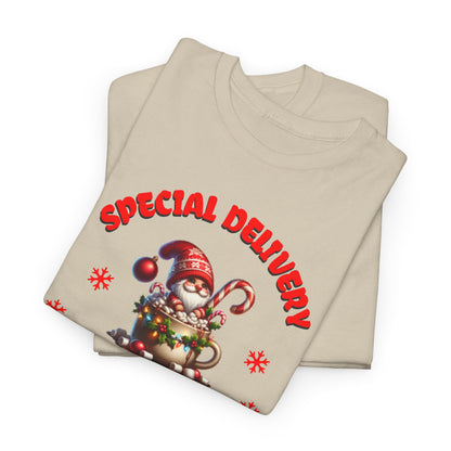 Special Delivery Santa Babies T-shirt