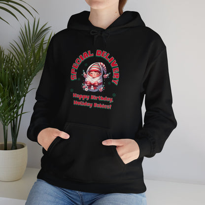 Special Delivery Holiday Baby Elf Hoodie Sweatshirt